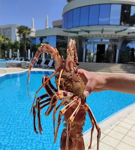 Hotel Vela Restaurant Golem (Tirana)